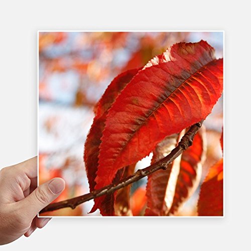 Sticker feuille d'érable rouge pour masquer les rayures de valise et pc - 2