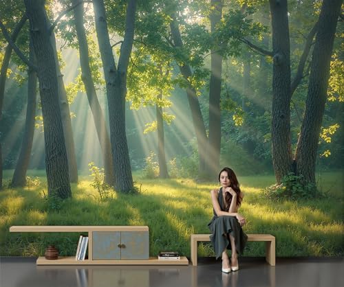 La Luz Del Sol Penetra En La Copa Los Árboles. Papel Pintado Impreso En 3D, 450 X 315 Cm Pared Papel Pintado, Realismo Naturalista Decoración De Paredes Para Salón Dormitorio Pasillo Comedor, Verde