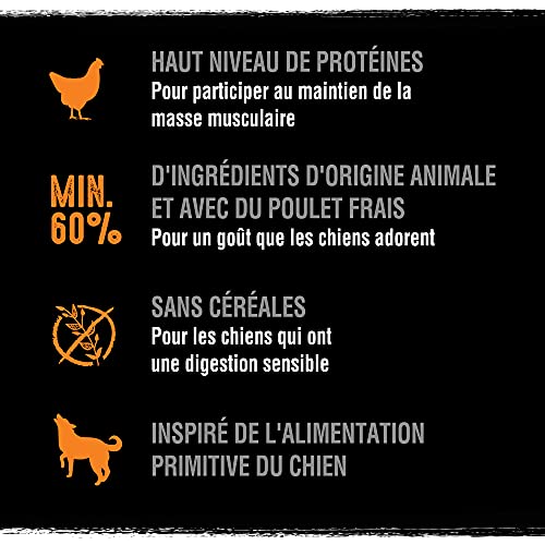 CRAVE Trockenfutter für ausgewachsene Hunde mit dem Geschmack Truthahn & Huhn – 6 Beutel à 1 kg – Trockenfutter ohne Farbstoffe, Aromen oder Konservierungsstoffe, mit einem hohen Proteingehalt
