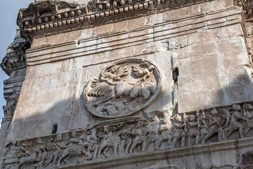 yC^A̕i|XgJ[hzB C^A̎s [} RX^eBkX̊M1 ͂ tHgJ[hyY photo by daikegoro