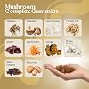 VITA GLOBE Mushroom Complex Gummies with Reishi, Lions Mane Mushrooms, Chaga, Cordyceps & More, Mushroom Supplement for Immune Defense, Energy & Brain Function Support, 250mg, 120 Count (Pack of 2)