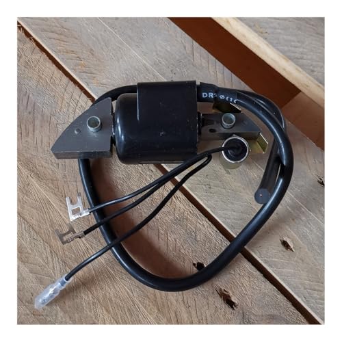 Bobine d'allumage haute tension pour moteurs de motoculteurs G200 G300 F600