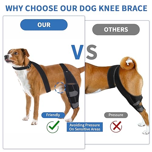 Image of Dog Knee Brace for Torn Acl Hind Leg, Adjustable Dog Back Leg Acl Knee Brace for Cross Ligament Arthritis Relief Joint Stability Injury Recovery