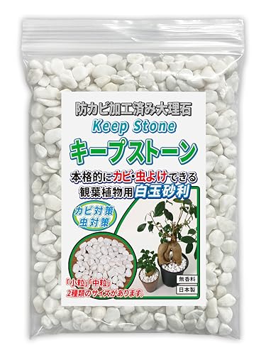 防カビ加工済み大理石 キープストーン 白玉砂利 小粒 800g 小さな鉢の観葉植物用 化粧石 ホワイト KSC08-W