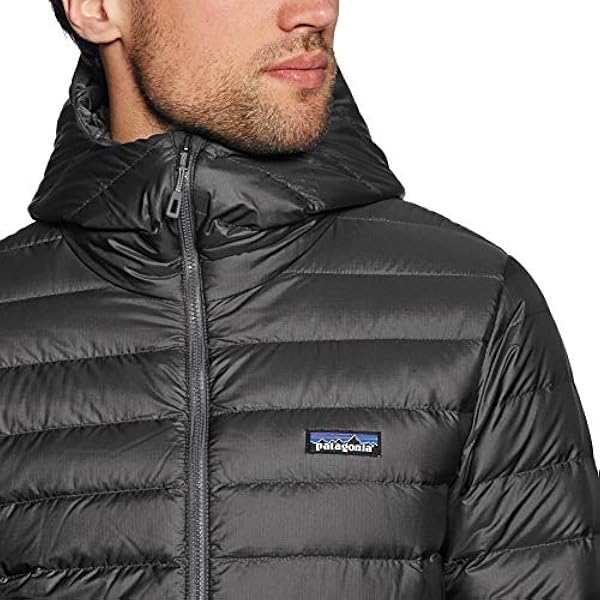 Patagonia Heren Down Sweater Hoody met capuchon