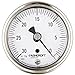 ASHCROFT Duralife Type 1009 Stainless Steel Case Dry Filled Pressure Gauge, Stainless Steel Tube and Bronze Socket, Hermetic Seal, U-Clamp Mounting, 2.5" Dial Size, 1/4" NPT Lower Back Connection, 30" Hg Vac Pressure Range