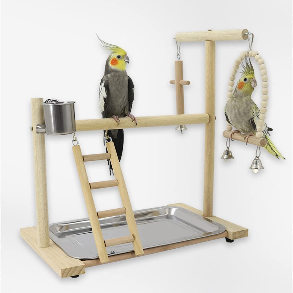 Perchoir à oiseaux avec plateau en acier inoxydable pour petits oiseaux