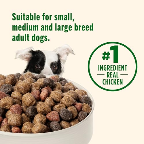 Image of Nutrish Dry Dog Food, Real Chicken & Veggies, 28 lb. Bag (Rachael Ray)
