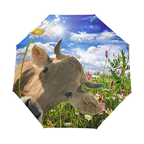 QMIN Automatischer faltbarer Regenschirm für den Sommer, Gänseblümchen, Kuh, Tier, winddicht, UV-Schutz, Reisen, kompakter Regenschirm für Damen, Herren, Mädchen Cover
