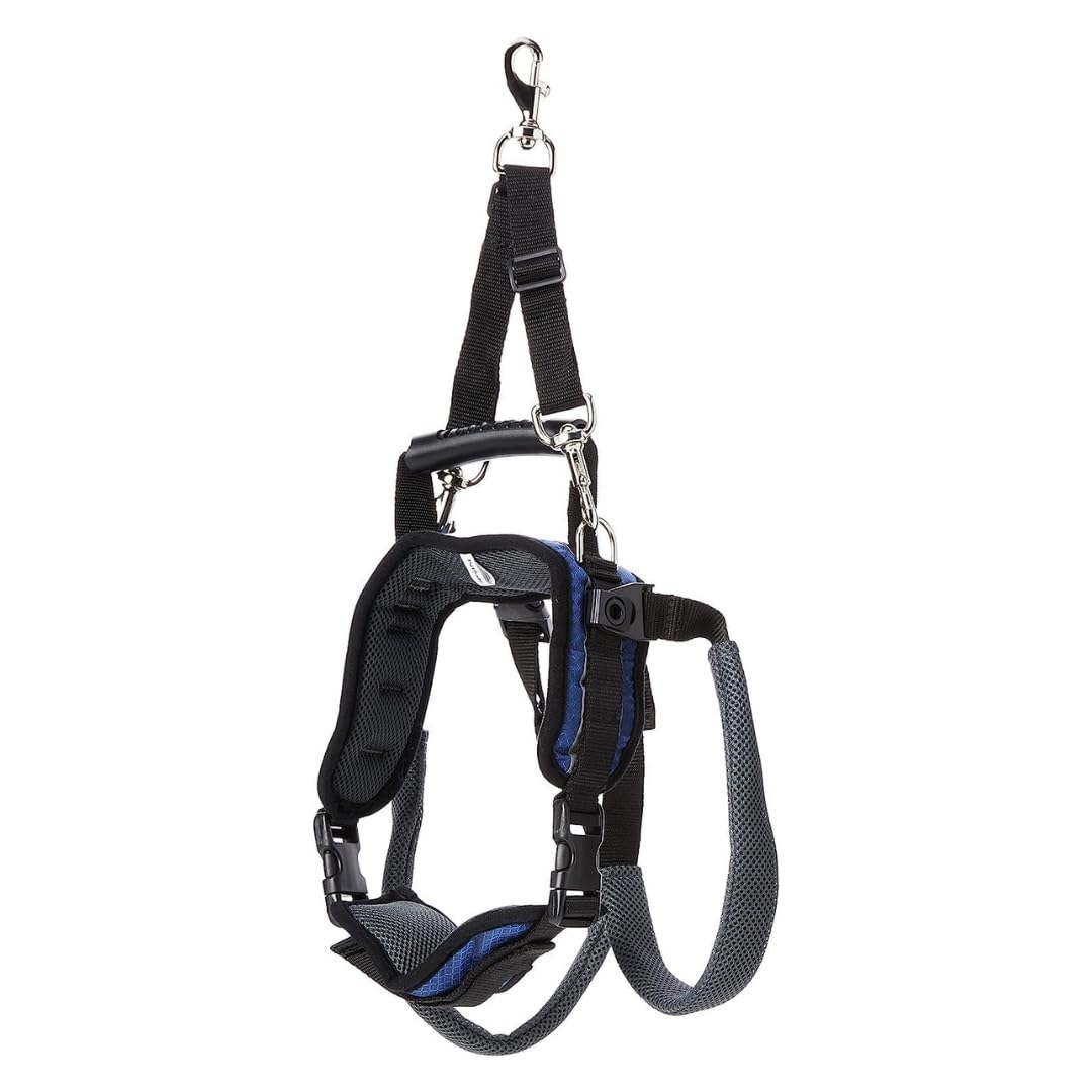 PetSafe CareLift Arnés de Elevación Trasera para Perros, Arnés de Soporte con Asa y Correa, Perros Discapacitados o Ancianos, Material Transpirable y Cómodo, Fácil Ajuste, Perro Grande