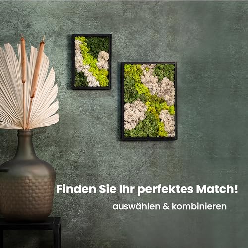Moosbild Comforder Rechteckiges Wandbild mit echtem Moos