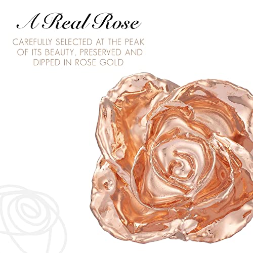 Image of Forever Rose Real Rose Dipped in Rose Gold, Acrylic Heart Vase