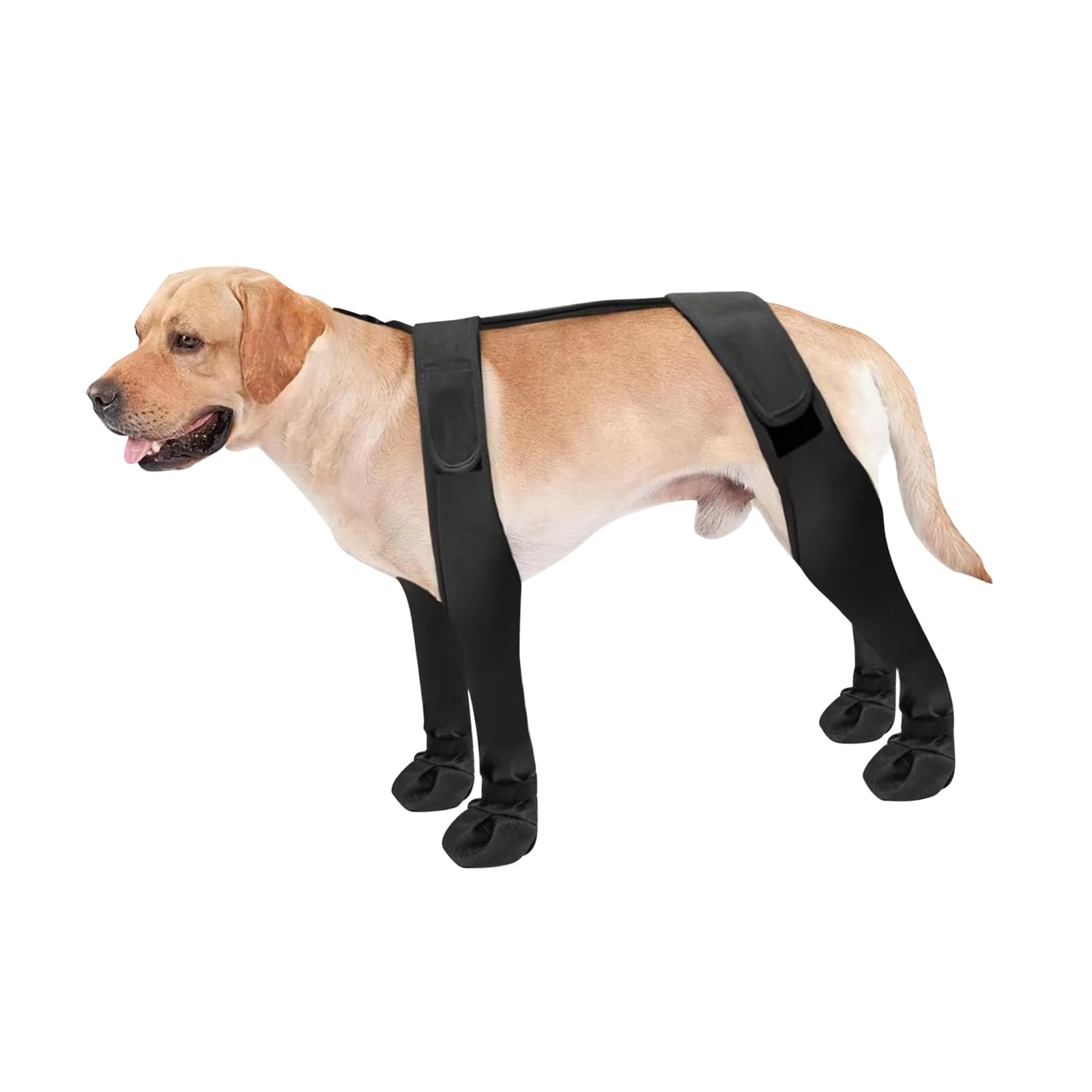 Leggings per cani, stivaletti con bretelle impermeabili, S