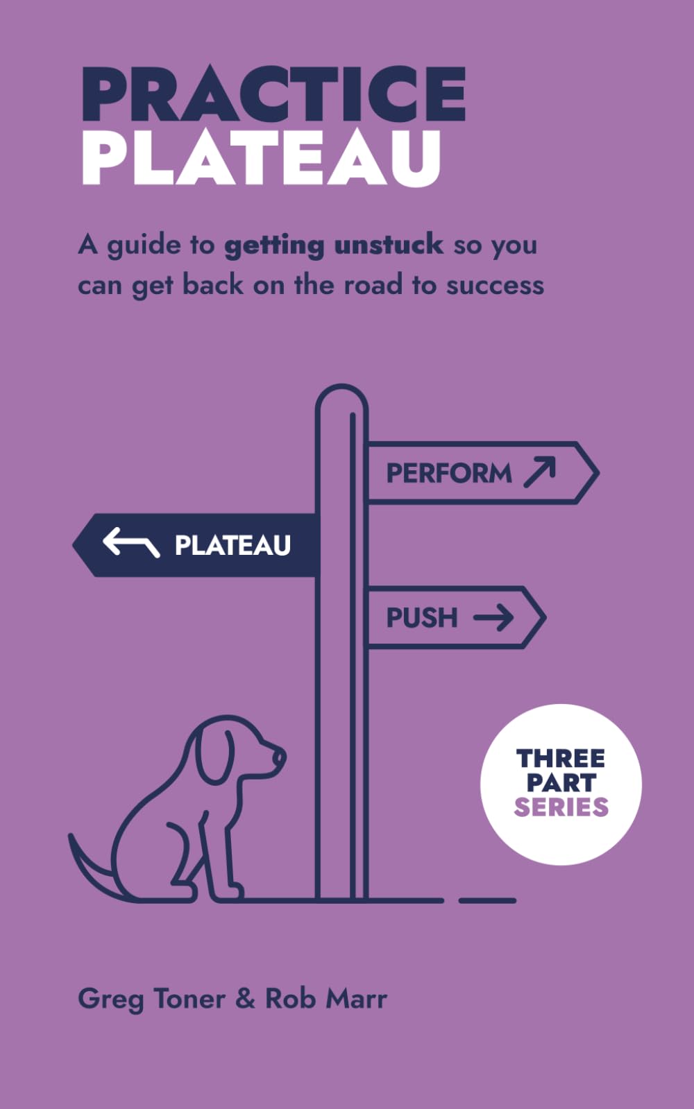 Practice Plateau: A guide to getting unstuck and back on the road to success (The Practice Series)