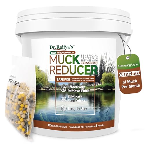 Dr.Raifyas Muck Reducer 6 LB Natural Pond Sludge & Odor Treatment All-in-One Enhanced Cleaning Power in Ponds & Lakes Beneficial Bacteria Safe for Fish Pets & Wildlife Treats Up to 48 000 Sq Ft