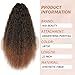 AISI BEAUTY Long Curly Drawstring Ponytail for Women 22 inch Clip in Wavy Natural Ponytail Extension for Womens(T1B/30#)