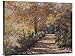 Global Gallery Budget Diane Romanello Natures Colors Gallery Wrap Giclee on Canvas Print Wall Art