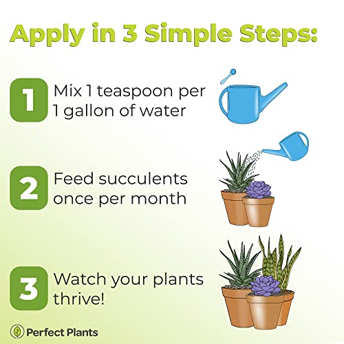 Fertilizante Líquido para Cactus y Suculentas 8oz miniatura 6