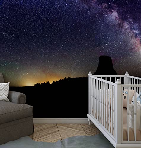 Milky Way Galaxy Stars Wall Mural. Starry Night Over Devils Tower National Monument Park. Space Theme Peel And Stick Wallpaper. #6416 (Small Sample To Try) #TOP5