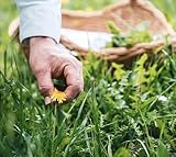 Luvit & Lumoè B0DFQK2JGP lato 3