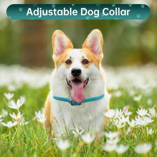 BKEPDY Hundehalsband 2 Stück Effektiver Schutz vor Ungeziefern Wasserdicht Einstellbares Floh und Zeckenschutz für Hunde Alle Größen und Rassen (Blau-2)