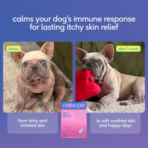 GutWell Itchy Skin Dog Itching Relief & Allergy Relief, 120 Scoops - image 3