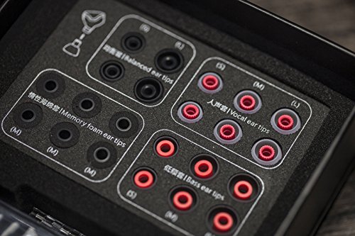 Amazon.co.jp: [FiiO]FH5 : 家電＆カメラ