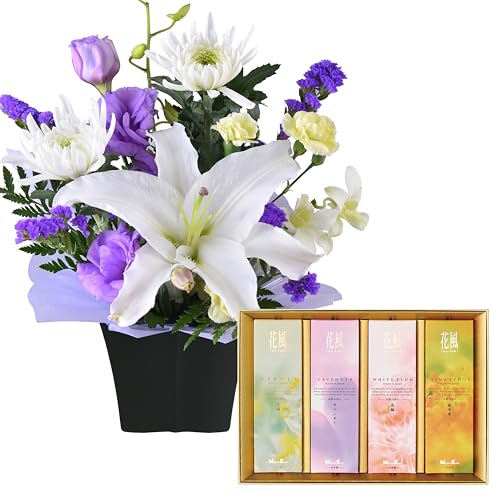 Ԃ̃Mtg      Zbg  ~ ފ ~  V~