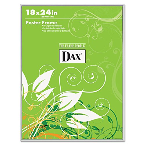 DAX IC2811W5 Contemporary U-Channel Poster Frame with Plexiglas Window, Clear, 18 X 24, Multicolor