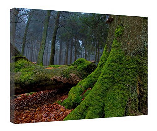 Toile forêt moussue avec cadre en bois pour créer un salon zen et relaxant