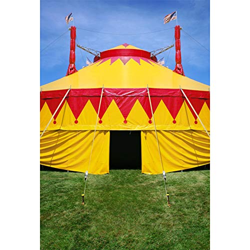 Cassisy 2x3m Vinilo Circo Telon de Fond Al Aire Libre Carpas Coloridas del Circo Campos de Hierba Verde Cielo Soleado Fondos para Fotografia Party bebé Infantil Photo Studio Props Photo Booth