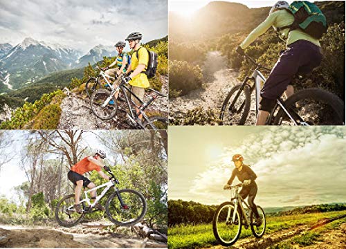 Scarpe Ciclismo MTB Professionale Traspirante