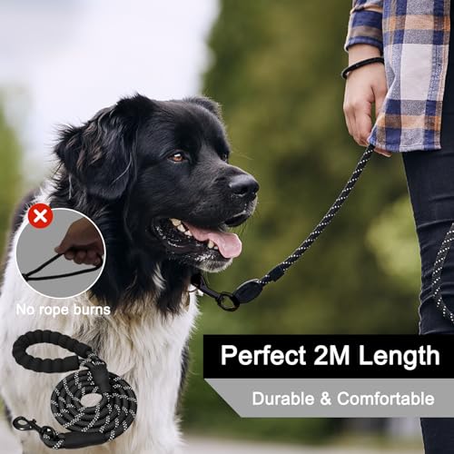 Ledeak 2m Starke Hundeleine, Nylon Reflektierend Schleppleine mit Bequemen Gepolsterten Griff, Robuste Hunde Leine, Lang Beißfeste Hundeleine für Kleine Mittlere und Große Hunde (Schwarz)