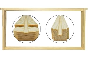 Affordable Top Bar Beekeeping Frames for Enhanced Productivity