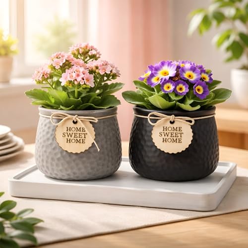 Image of Xtore Sleek Textured Ceramic Planter Set of 2 with Wooden Tag Accent | Modern Minimal Indoor Pots for Desk, Shelf & Home Styling (Pack of 2, Planter only)