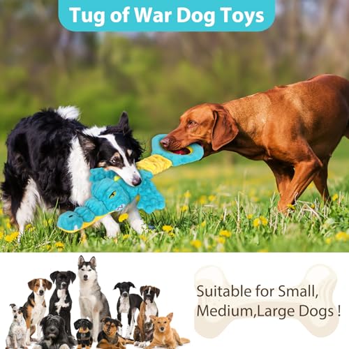 Image of Dog Toys Cute Alligator Dog Toy Tough Plush Puppy Toy for Playtime, Training & Tug of War- Interactive Squeaky & Crinkle Chew Toy for Small to Large Dogs