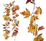 Aplicación: adecuado para casa de campo, patio y pared de fondo, muy adecuado para la cosecha de otoño y Acción de Gracias.