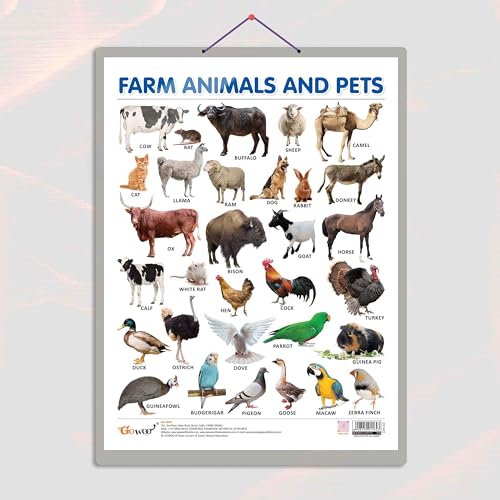 Image of FARM ANIMALS AND PETS CHART HARD LAMINATED | Animal Adventure Awaits: High-Quality Laminated Educational Guide
