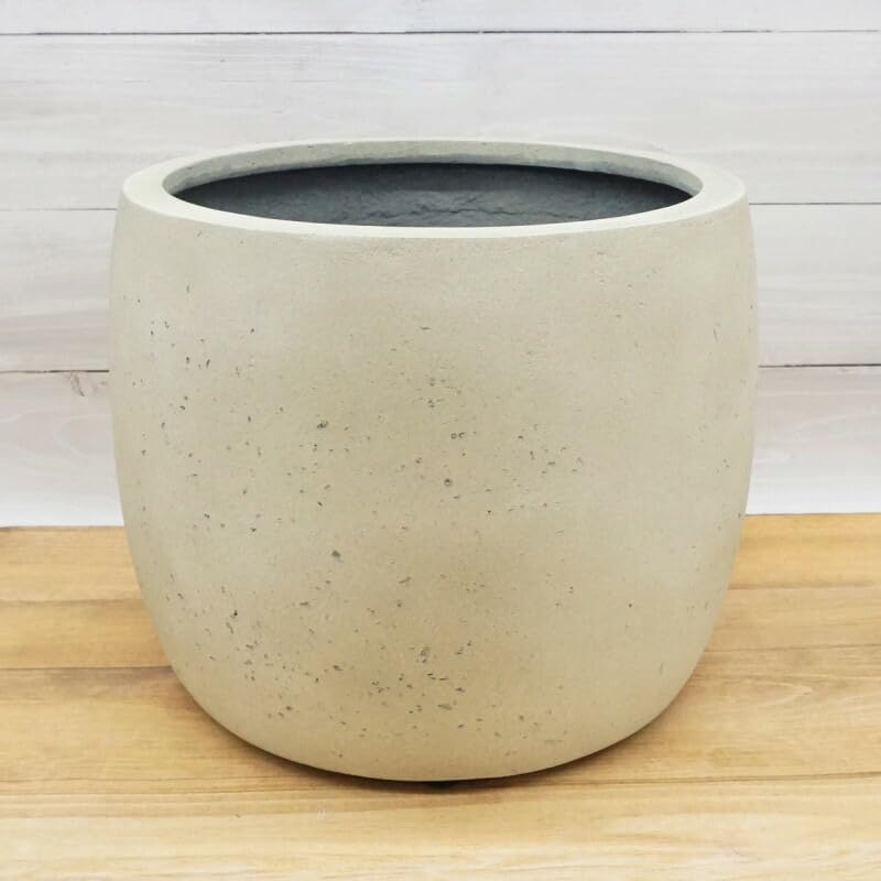 山中勇人 作家鉢 大鉢 y鉢 アガベ パキプス グラキリス 塊根 山中勇人 作家鉢 大鉢 y鉢 アガベ パキプス グラキリス 塊根