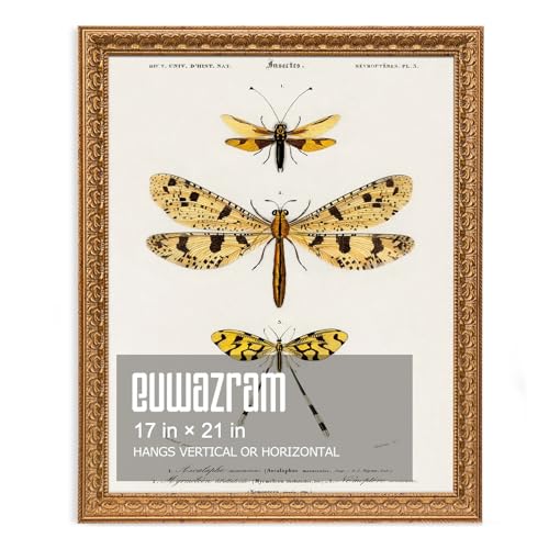 euwazram 17x21 Ornate Vintage Gold Picture Frame - Single Frame 17 x 21 Classic Poster Frame for Art Prints & Gallery Walls