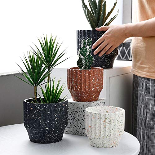 Bonsai de bonsai pots en ciment brut pour jardinage extérieur durable