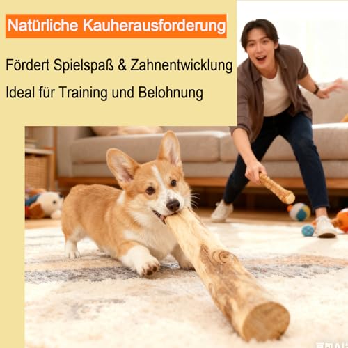 Soiftra 3 Stück Kaffeeholz für Hunde,Zahnreinigung Kauholz für Kleine und Mittlere,Robuster Kauknochen,Kaffeeholz für Welpen,Natürliches Kauholz(14cm Länge, 1.8-2cm Durchmesser)
