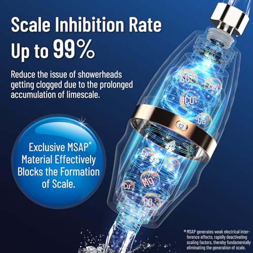 BriskSpring Duschfilter mit Zeit-Erinnerung, Duschfilter mit Vitamin C für hartes Wasser, Kalkfilter Dusche zur Entfernung von Chlor und Schwermetallen, 2-in-1 Wasserenthärter, Silber