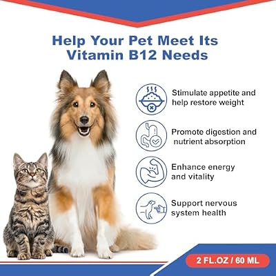 Cat Appetite Stimulant - Methylcobalamin B12 Liquid Bhutan | Ubuy