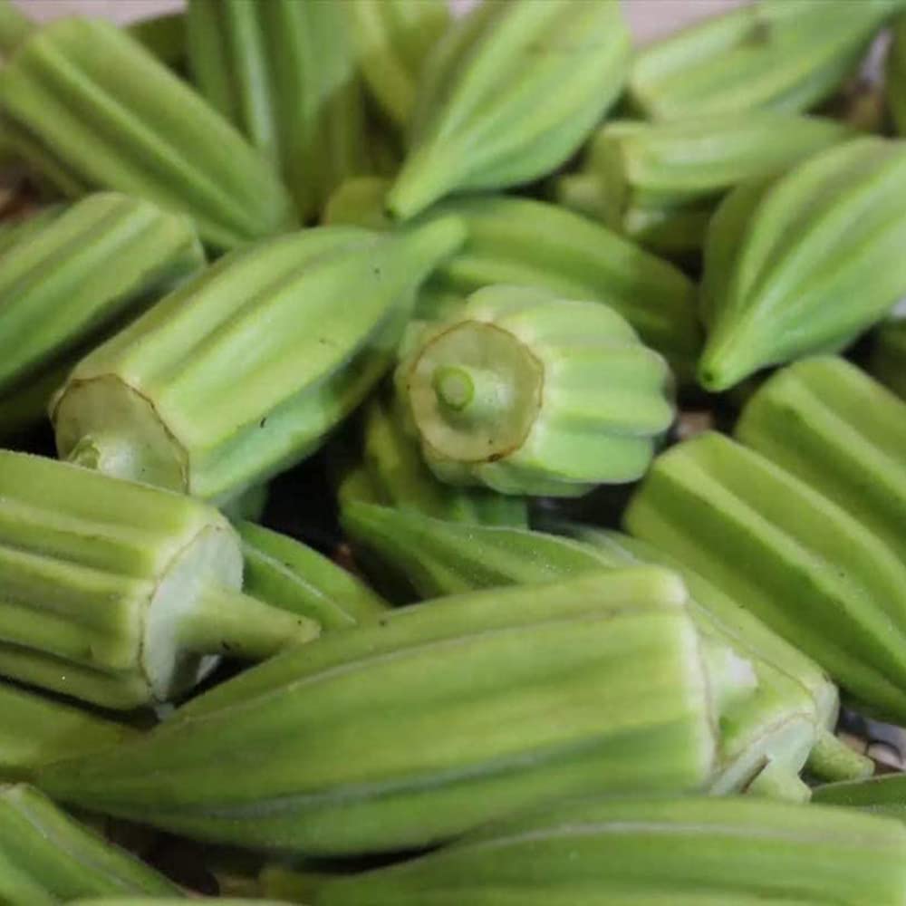 Semi Di Okra (Gombo) Sanwood - Facili Da Coltivare, Per Orto E Giardino