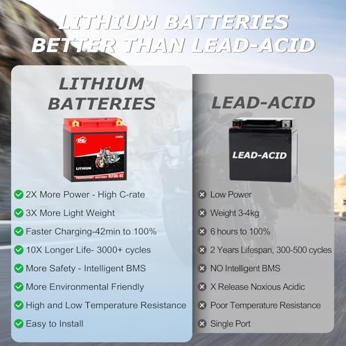 Image of TPE YTX30L-BS Lithium Powersports Battery 12V 14AH 720A Lithium Motorcycle LiFePO4 Battery DLF30L-BS