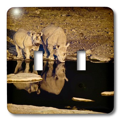 Interrupteur double 3dRose Namibia Etosha décoratif pour salon - 3