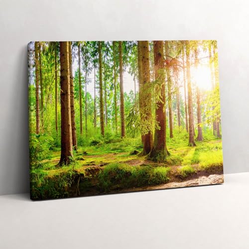 Grand Tableaux 80x60cm Forêt au Soleil | Décoration Murale d'Art Moderne