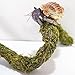 Begeterday 2 Pack 25 Inch Hermit Crab Climbing Toys, Bendable Hermit Crab Supplies, Ideal Hermit Crab Habitat Tank Terrarium Accessories