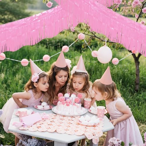 Image of LOLStar Macaron Pink Foil Fringe Tinsel Garland Streamers Banner, 6 Pack | 60Ft Tinsel Streamers, Macaron Pink Tinsel Fringe Banners for Wedding, Gender Reveal, Bachelorette, Birthday Party Decor